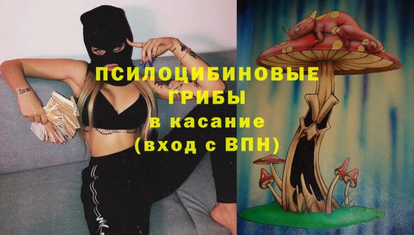 тгк Зеленокумск