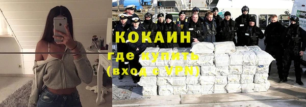 шишки Заволжье