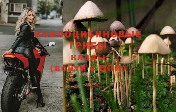 MDMA Premium VHQ Елизово